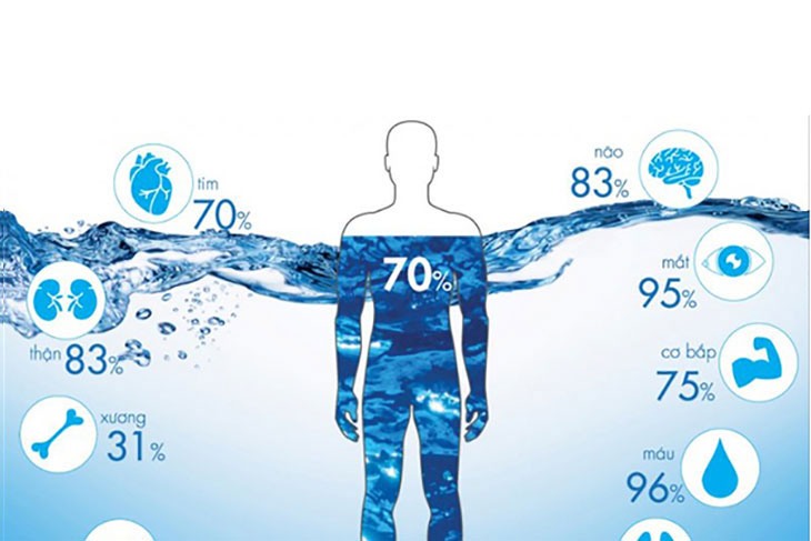 Nước quan trọng thế nào đối với sức khỏe chúng ta